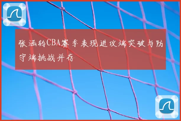 张涵钧CBA赛季表现进攻端突破与防守端挑战并存