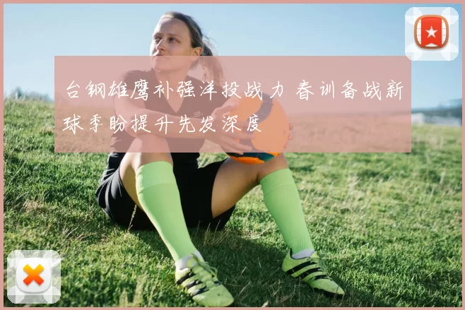 台钢雄鹰补强洋投战力 春训备战新球季盼提升先发深度