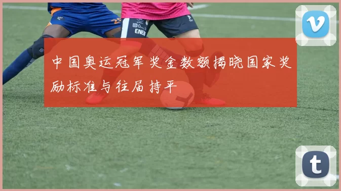 中国奥运冠军奖金数额揭晓国家奖励标准与往届持平