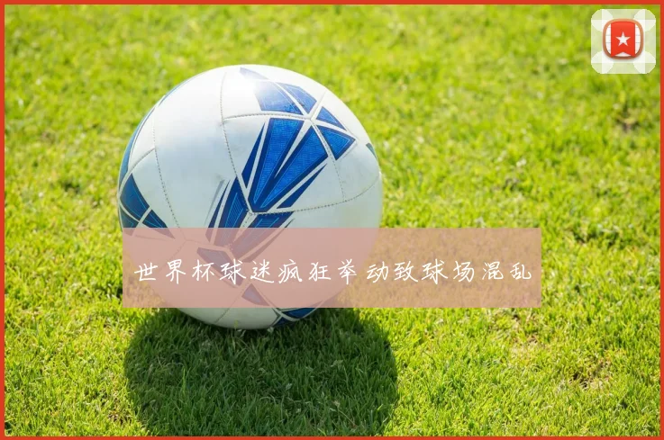 世界杯球迷疯狂举动致球场混乱