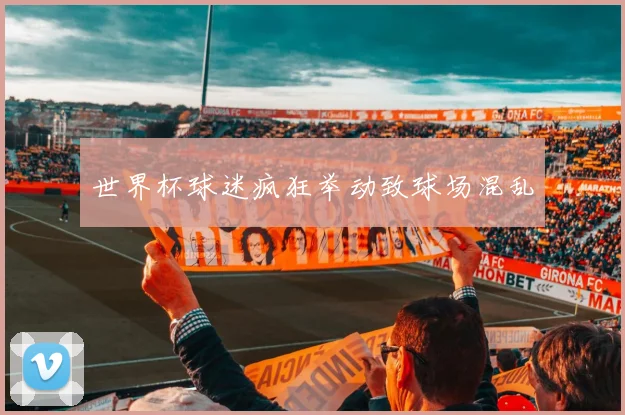世界杯球迷疯狂举动致球场混乱