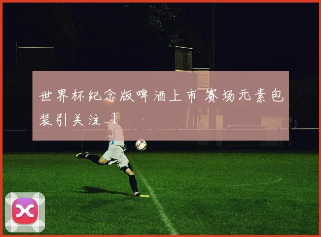 世界杯纪念版啤酒上市 赛场元素包装引关注_1