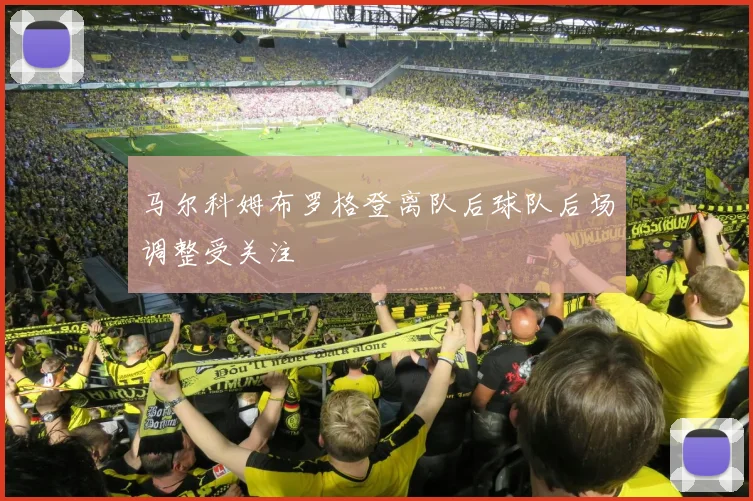 马尔科姆布罗格登离队后球队后场调整受关注
