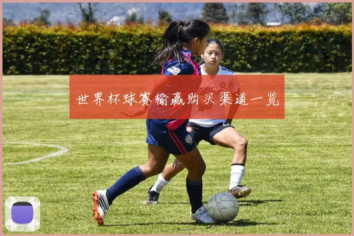 世界杯球赛输赢购买渠道一览